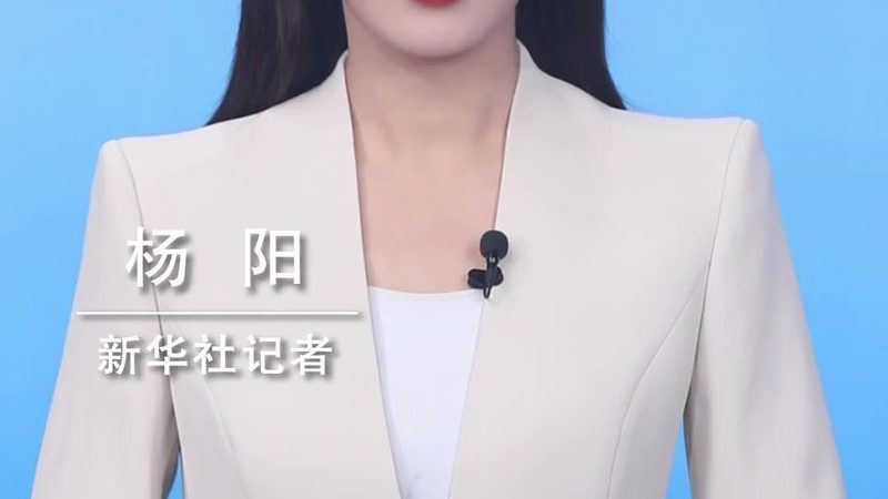 金融知识图谱标准化建设的路径与挑战**